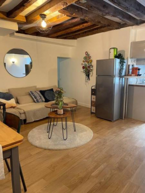 Lovely apartment Central, Le Marais, Paris